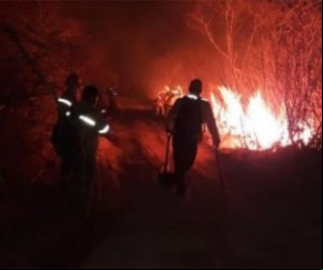 O governador Wellington Dias (PT) usou as redes sociais na tarde desta quinta-feira (9) para fazer um apelo e pedir que se evite queimadas no estado. Só nos primeiros dias de setem(Imagem:Reprodução)