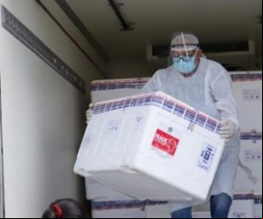A Secretaria Estadual de Saúde (Sesapi), vai rear nesta sexta-feira (28) as doses da vacina Pfizer para nove municípios do interior do estado.   São eles: Parnaíba, Piripiri, C(Imagem:Reprodução)