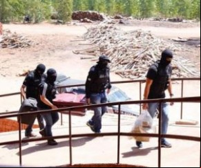 Segurança incinera 200 quilos em drogas apreendidas(Imagem:SSP)