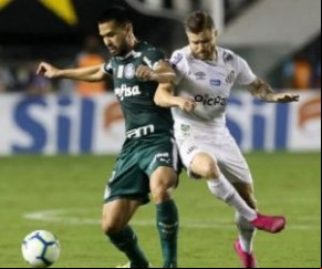 Santos vence o Palmeiras na Vila e assume a vice-liderança do Campeonato Brasileiro.(Imagem:Cesar Greco)