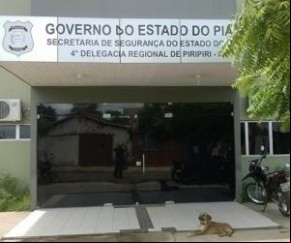 Cão morre após semanas diante de delegacia esperando dono preso.(Imagem:florianonews.piauiconectado.com)