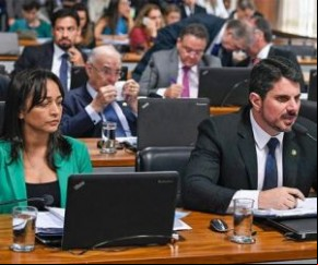 Senado deve votar pacote anticrime no segundo semestre.(Imagem:Agência Senado)