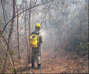 Bombeiros tentam controlar incêndio no centro de Brasileira.(Imagem:Portal Brasileira)
