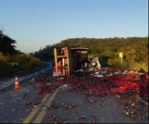 Caminhão tomba na BR-343 e deixa dois feridos.(Imagem:PRF)
