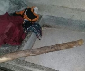 Filho é preso suspeito de matar o próprio pai a pauladas em Picos.(Imagem:florianonews.piauiconectado.com)