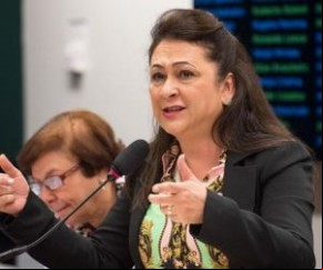 Senadora Kátia Abreu (PDT-TO)(Imagem:Divulgação)