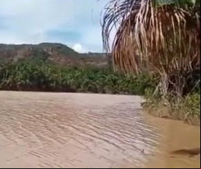 Moradores de Currais denunciam que lagoa estaria contaminada com veneno(Imagem:Reprodução)