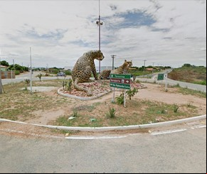 Polícia desmente boato de venda de carne de gato no interior do PI(Imagem:florianonews.piauiconectado.com)