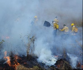 Floriano está entre os municípios com leitura mais crítica de focos de calor(Imagem:florianonews.piauiconectado.com)