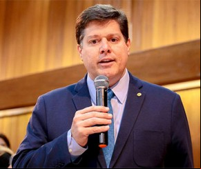Deputado federal Luiz Felipe Baleia Rossi (MDB)(Imagem:florianonews.piauiconectado.com)
