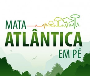 Piauí participa de operação para identificar desmatamentos na Mata Atlântica.(Imagem:florianonews.piauiconectado.com)