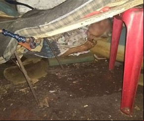 Idosa em estado debilitado é encontrada sozinha em casa na Capital.(Imagem:Reprodução/Facebook)