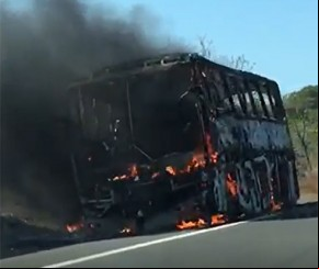 Ônibus de turismo incendeia às margens da BR-316 em Monsenhor Gil(Imagem:Reprodução)