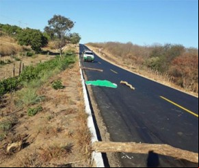 Motociclista tem a cabeça decepada em acidente da BR-135.(Imagem:florianonews.piauiconectado.com)