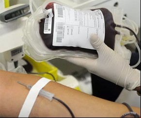 STF julga doação de sangue por homossexuais nesta quinta-feira.(Imagem:G1.com)