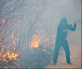 Queimadas destroem plantações e prefeita decreta emergência em Colônia do Piauí.(Imagem:florianonews.piauiconectado.com)