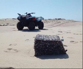 Sobe para 33 os pacotes que chegam às praias do Piauí.(Imagem:florianonews.piauiconectado.com)