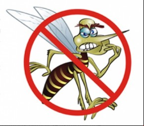Agentes endêmicos darão início ao levantamento sobre a dengue.(Imagem:Internet)