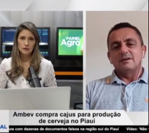 Cerveja de caju estará em breve nas prateleiras piauienses(Imagem:Divulgação)