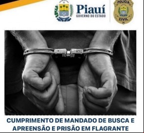 Polícia Civil de Floriano realiza apreensão de arma de fogo em cumprimento a mandado judicial.(Imagem:Reprodução/Instagram)