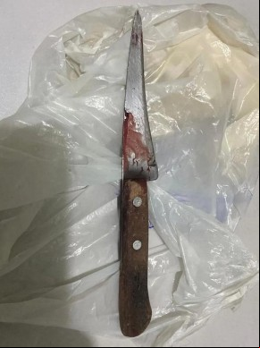Faca usada no crime.(Imagem:Divulgação /PM-PI)