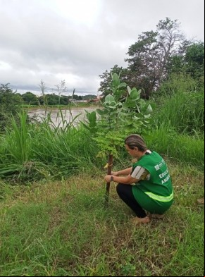 SEMAN promove ação de monitoramento de plantios realizados às margens do rio Parnaíba.(Imagem:Secom)