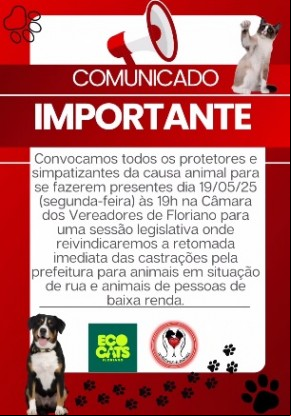 Organizações de proteção animal promovem mobilização por castrações em Floriano.(Imagem:Reprodução/Instagram)
