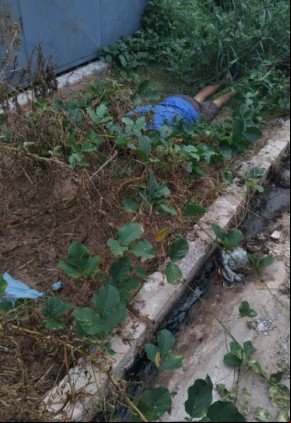 Jovem é assassinado a tiros no bairro Planalto Bela Vista em Floriano.(Imagem:Reprodução/Instagram)