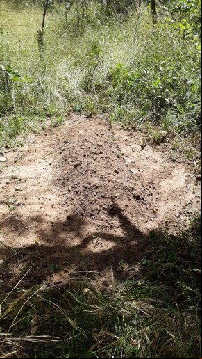 Suposta cova com corpo de homem encontrada em fazenda na zona rural de Campo Maior, no Piauí.(Imagem:Reprodução)
