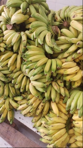 Educação de Floriano distribui produtos da agricultura familiar(Imagem:Secom)
