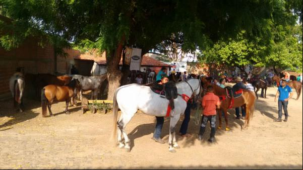 Cavalgada abre oficialmente a 65ª Expoapi em Teresina.(Imagem:Cidade Verde)