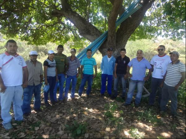 Operadores de máquinas agrícolas de Floriano am por capacitação.(Imagem:FlorianoNews)