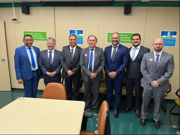 Poderes legislativo e Executivo de Floriano se unem em busca de emendas em Brasília.(Imagem:CMF)