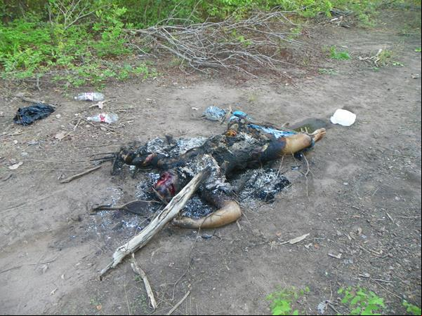 Corpo de um homem é encontrado em chamas nas proximidades do Assentamento Araras.(Imagem:AmaranteNet)
