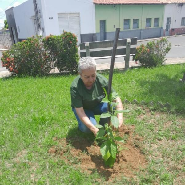 SEMAN inicia reposição de mudas de plantas em praças e rotatórias da cidade.(Imagem:Secom)