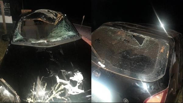 Os três ocupantes tiveram apenas escoriações, apesar da gravidade do acidente. O veículo ficou parcialmente destruído e os envolvidos já estão em casa.