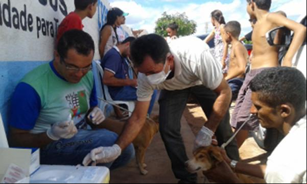 Registrado caso de calazar humano em Picos.(Imagem:Divulgação)