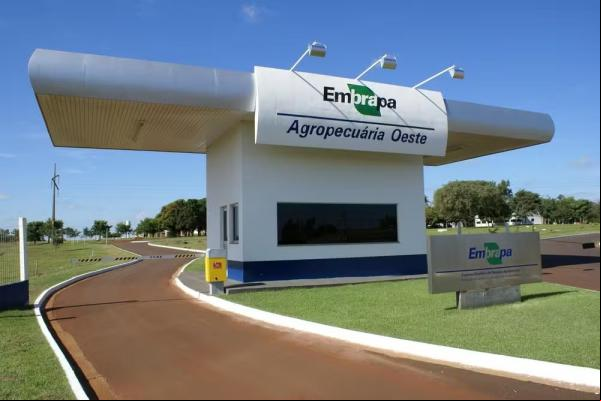Concurso da Embrapa está ofertando 1.027 vagas divididas entre cargos de assistente, técnico, analista e pesquisador.(Imagem:Nilton Pires de Araujo/Divulgação/Embrapa)