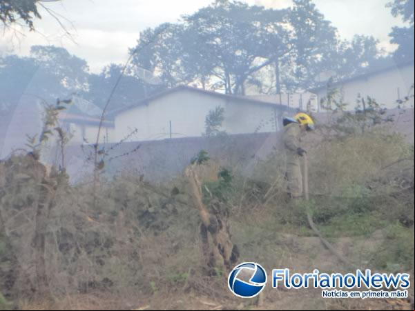Corpo de Bombeiros registrou dois incêndios em terrenos baldios na tarde desta quinta em Floriano.(Imagem:FlorianoNews)