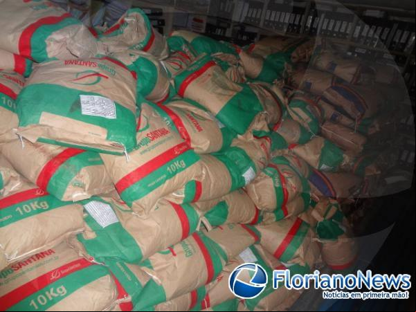 Sementes de feijão para plantio.(Imagem:FlorianoNews)