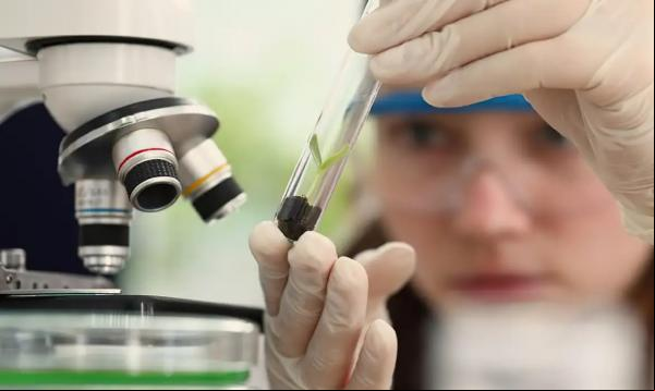 SBPC lança chamada para jovens cientistas.(Imagem:USP/Divulgação)