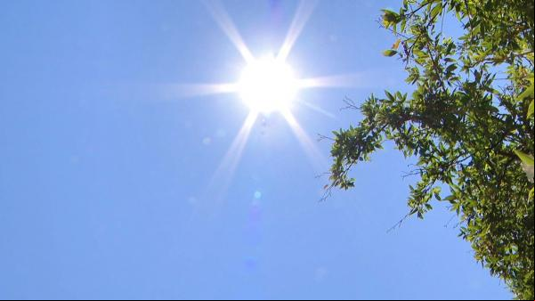 Com máximas de 40°, meteorologia prevê sábado (19) e domingo (20) de muito calor no PI(Imagem:Divulgação)
