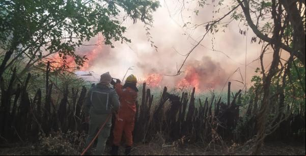 Incêndio fora de controle ameaça Serra das Confusões e bombeiros enviam reforços(Imagem:Reprodução/Corpo de Bombeiros)