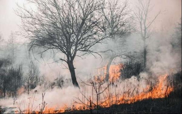 Semarh usa dados do Programa Brasil Mais da Polícia Federal, que permite o o a imagens de satélite em tempo real.(Imagem:Divulgação)
