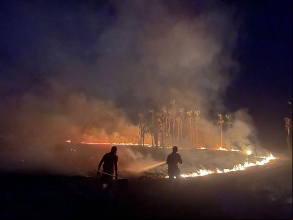 Bombeiros: combate a incêndios florestais é destaque em 2024(Imagem:Divulgação)