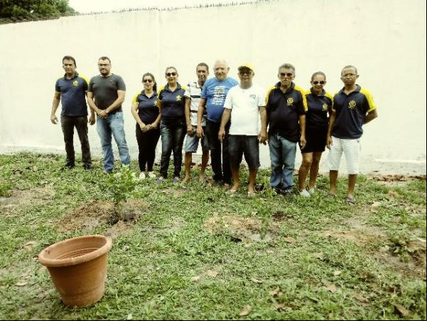 Rotary Clube realiza plantio de mudas de árvores na AABB de Floriano.(Imagem:FlorianoNews)