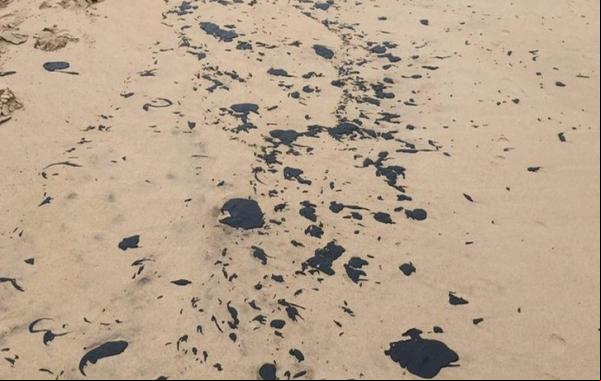 ICMBio ainda não sabe origem dos 216 kg de óleos retirados de praias em 2022.(Imagem:Semar/ Instituto Tartarugas do Delta)