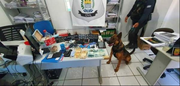 Cão farejador e objetos apreendidos durante a operação.(Imagem:Polícia Civil de Bom Jesus)