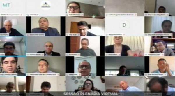 Sessão virtual da Alepi(Imagem:Reprodução)