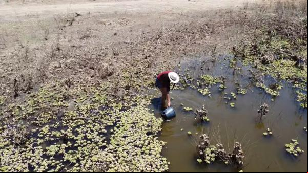 Moradora pega água suja em açude durante forte seca no Piauí.(Imagem:Reprodução/TV Clube)